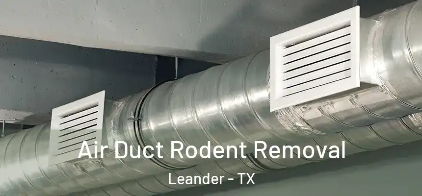 Air Duct Rodent Removal Leander - TX