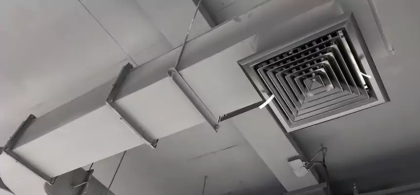 Restorative Allergy Relief Vent Cleaning – Coil, Blower & Housing Detail in Leander