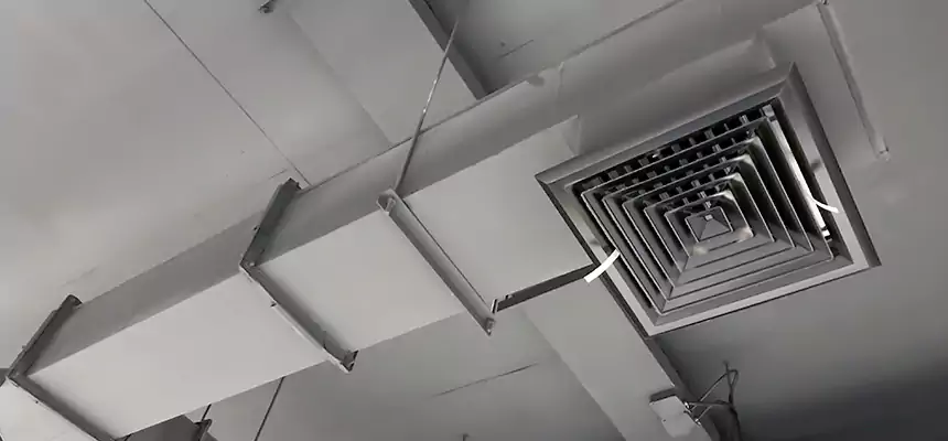 Our Rodent Droppings In Vents Services in Leander, TX