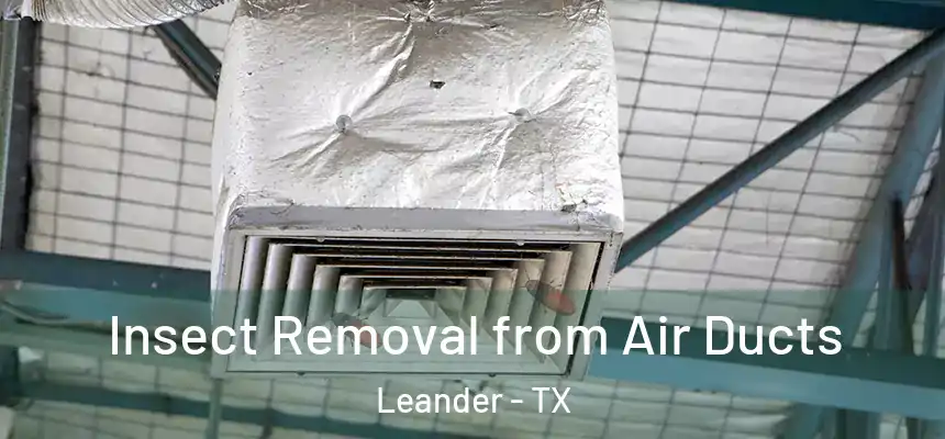  Insect Removal from Air Ducts Leander - TX