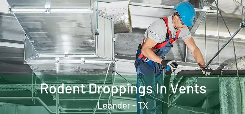 Rodent Droppings In Vents Leander - TX