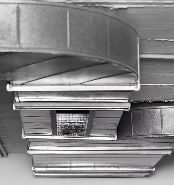 Professional Air Duct Pet Hair Removal in Leander, TX