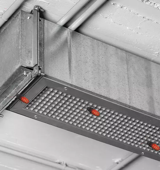 Affordable Insect Removal from Air Ducts in Leander, TX