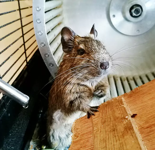 Why Homeowners & Businesses Trust Us Leander, TX?