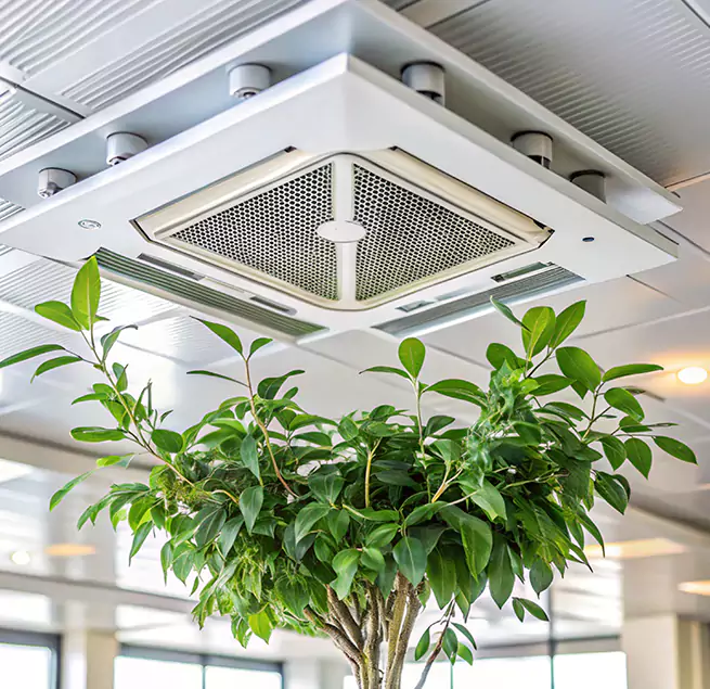 Why Homeowners & Businesses Trust Us in Leander, TX?