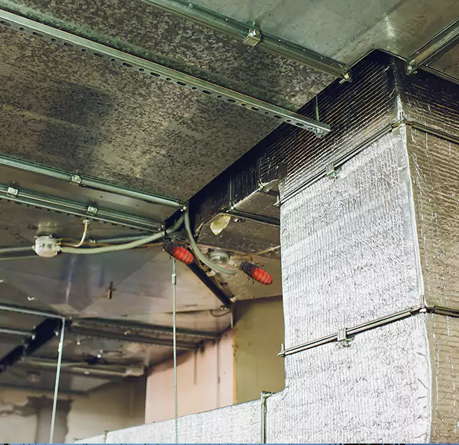 Why Homeowners & Businesses Trust Us Leander, TX?