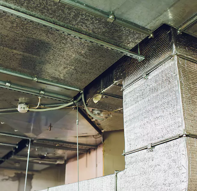 Why Homeowners & Businesses Trust Us in Leander, TX?